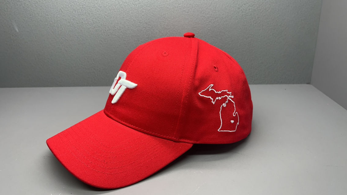 D1 DT Logo Cap