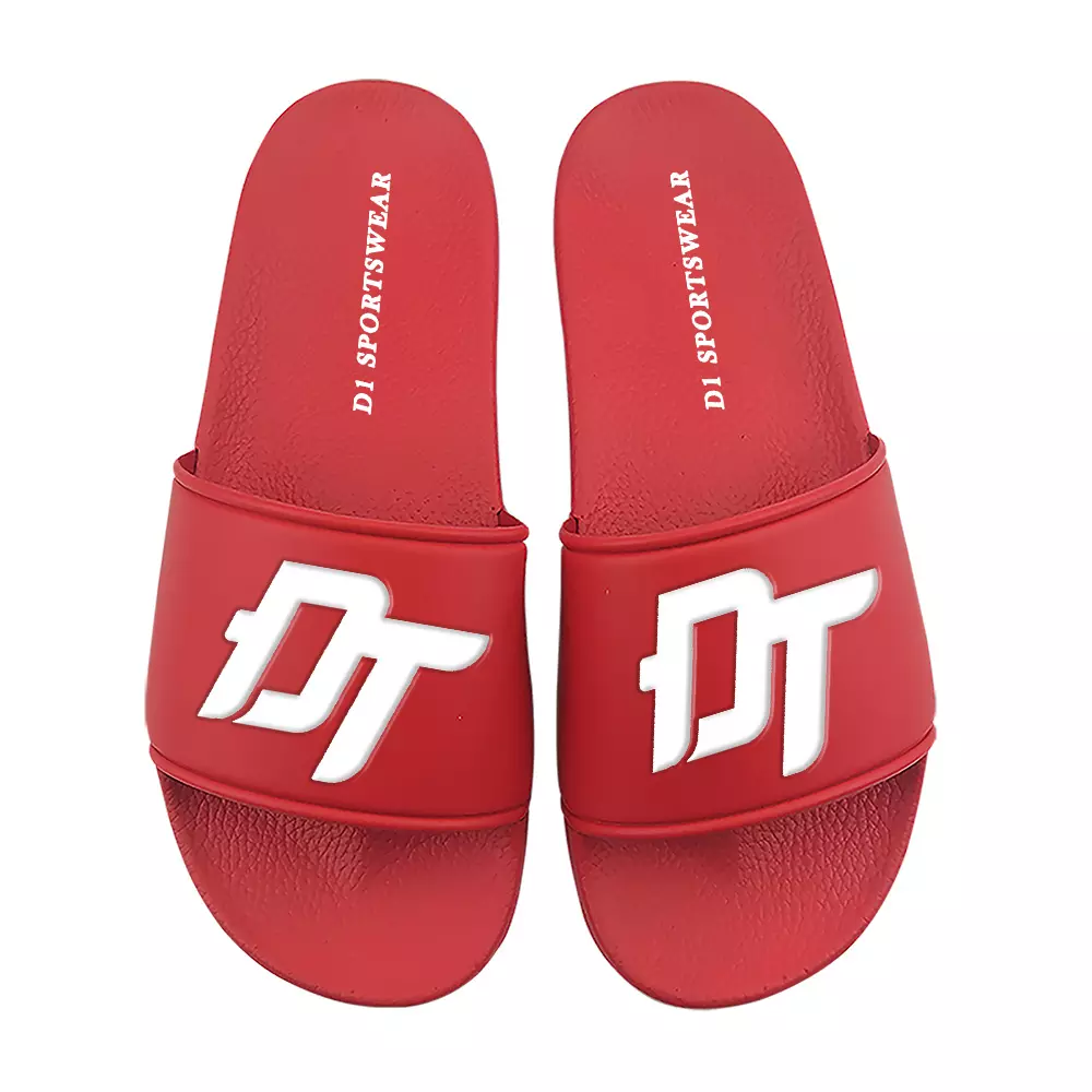 D1 SLIDES