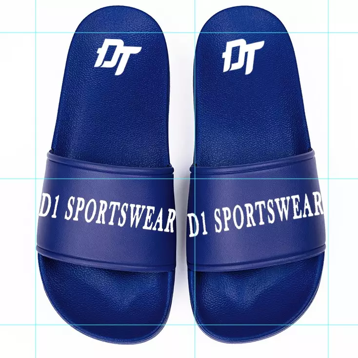 D1 SLIDES