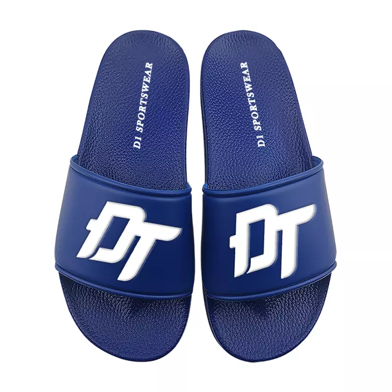 D1 SLIDES